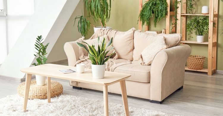 furnitur ramah lingkungan