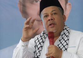 Fahri Hamzah